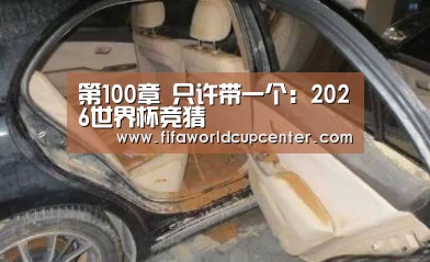 第100章 只许带一个:2026世界杯竞猜(图2) 世界杯下注