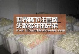 世界杯下注官网_失散多年的兄弟 宋小宝发图为quot;亲人quot;哈德森加油(图3) 2026世界杯竞猜
